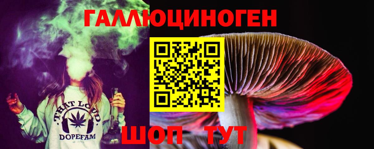 Галлюциногенные грибы Magic Shrooms Малгобек