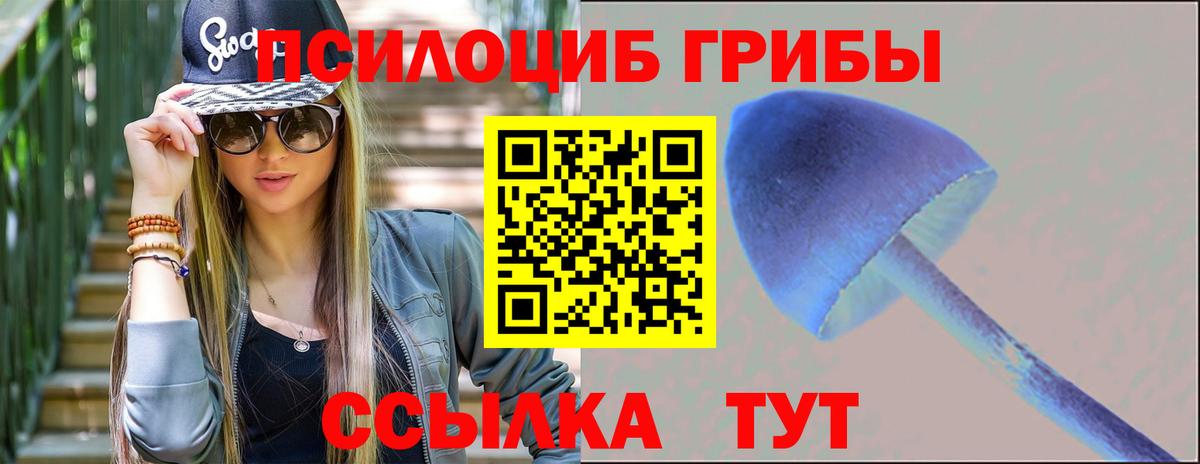 Псилоцибиновые грибы Cubensis  Вход с VPN  Малгобек 